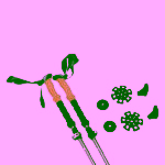 Bâtons de randonnée trekking pliables Omada - vue 3