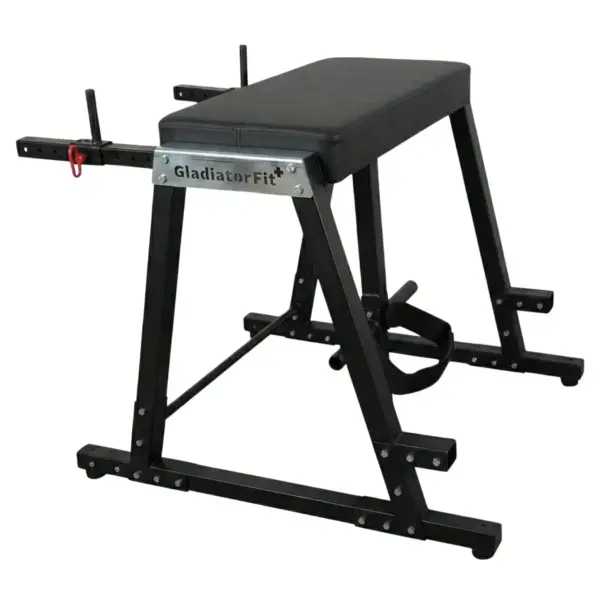 Machine hyperextension "Reverse Hyper Extension" GladiatorFit