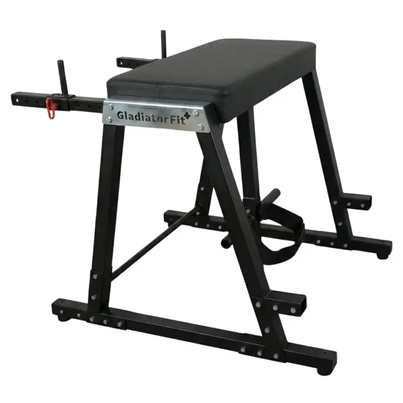 Machine hyperextension "Reverse Hyper Extension" GladiatorFit - vue 1
